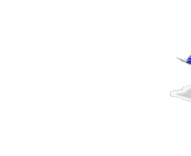 1139224812.jpg