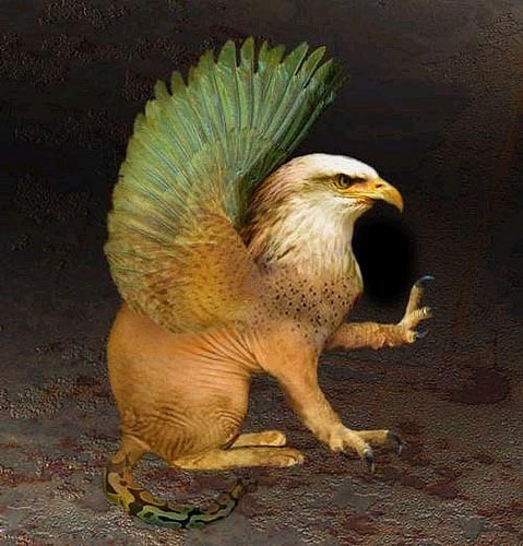 7c1ed21b0ef41bd5d2db88dd50da81cb39db3d0a.jpg