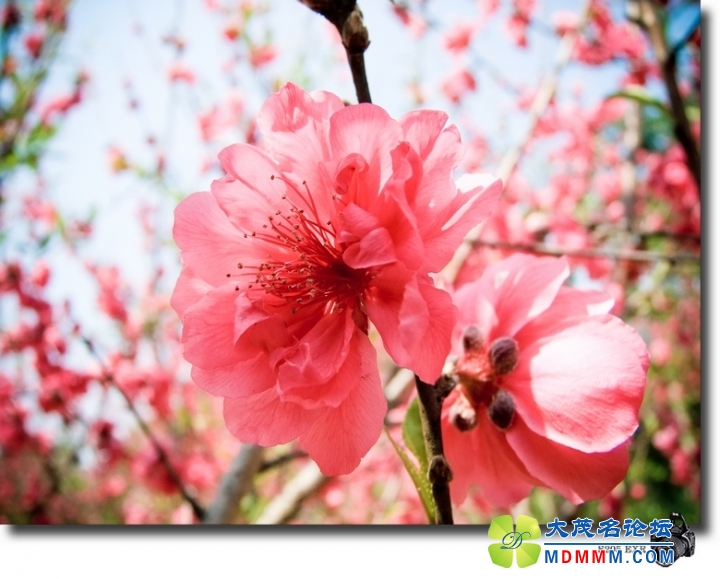 DSCF7083-1.jpg