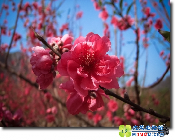 DSCF7499-1.jpg