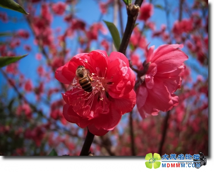 DSCF7659-1.jpg