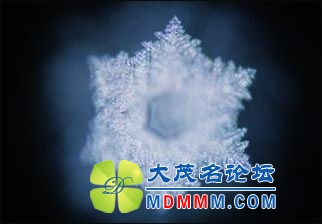 2ˮĽᾧ.jpg