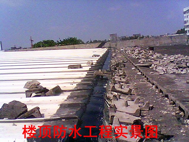i18n-show_pic_.jpg