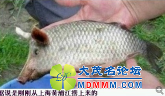 QQͼ20130321085001.png
