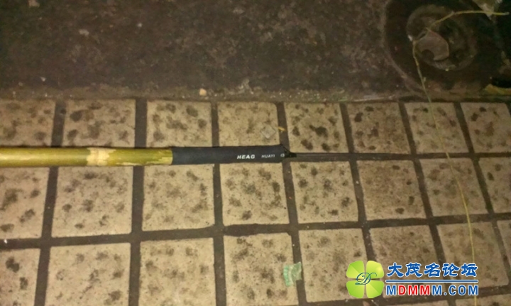IMAG0237_.jpg