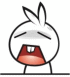 31.gif