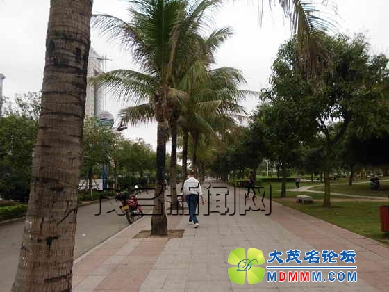 20130321100226599.jpg
