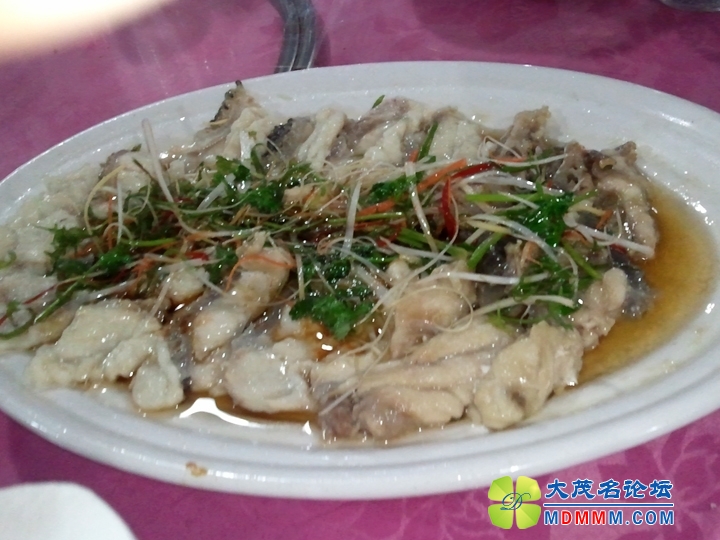 WP_000205.jpg
