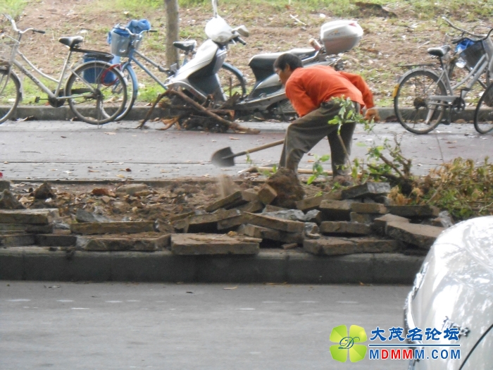 DSCN2166.jpg