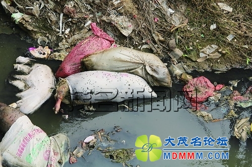 20130326093715875.jpg