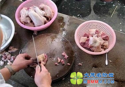 bd040a90gd87a245c0cb7&690.jpg
