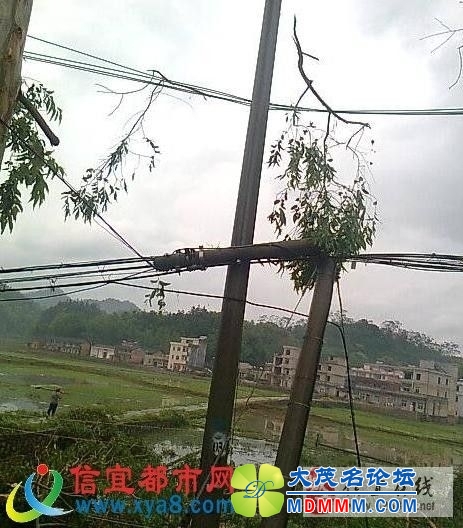 20130327030913009.jpg