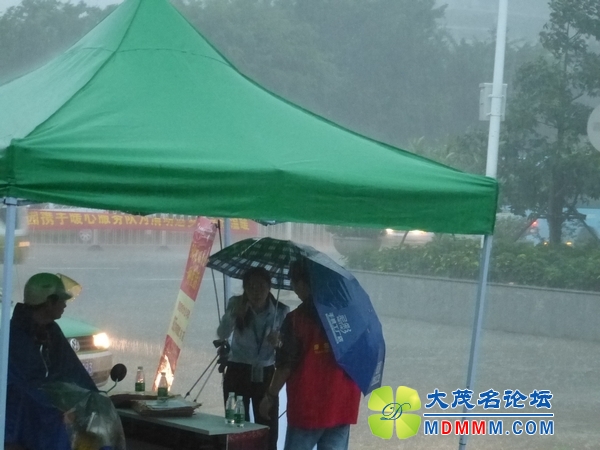 P1020153.jpg