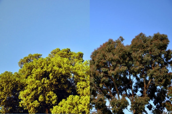 00091.jpg