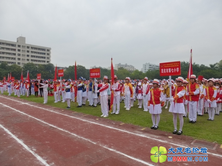 P1020416.jpg