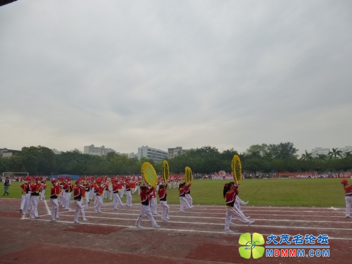 P1020432.jpg