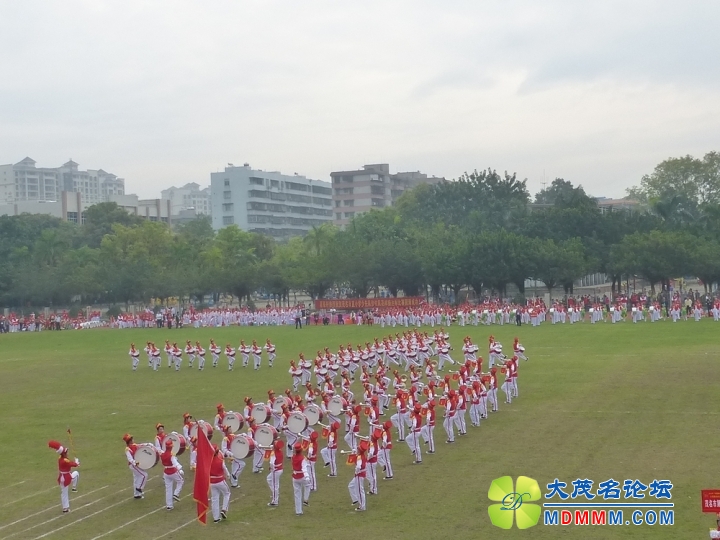 P1020438.jpg