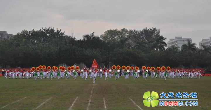 DSC_0215_.jpg