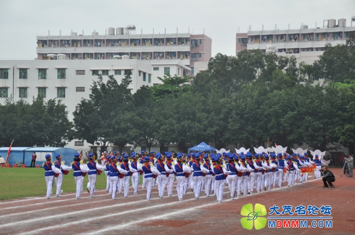 DSC_0337_.jpg