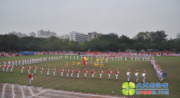 DSC_0158_.jpg