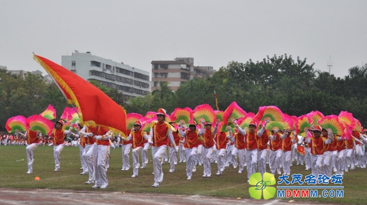 DSC_0247_.jpg