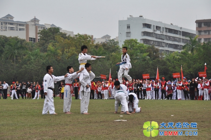 DSC_0457_.jpg
