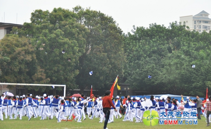 DSC_0537_.jpg