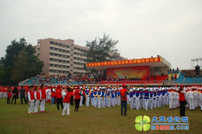 DSC_1964_.jpg