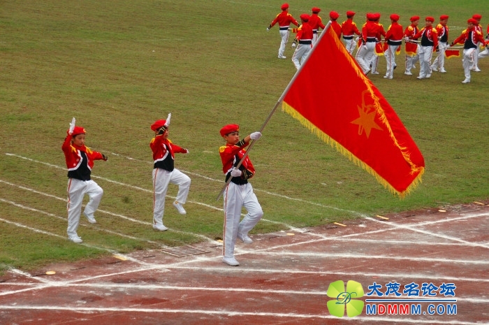 DSC_2011_.jpg