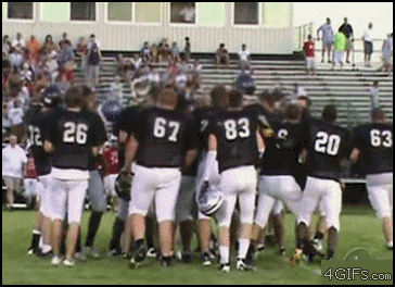 4487fcd7fc661193f27b32.gif