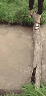 276682.gif