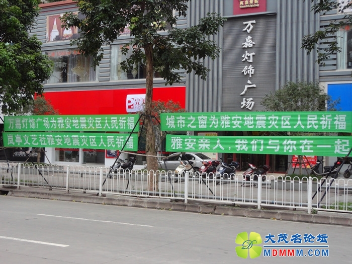 DSC02095_.jpg