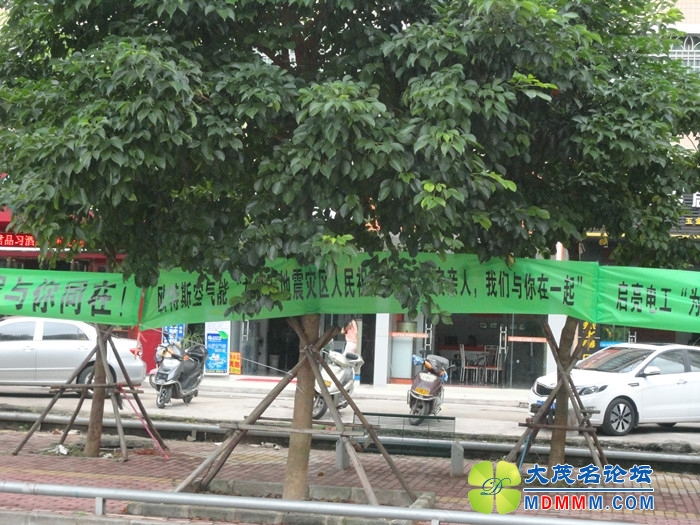 DSC02100_.jpg