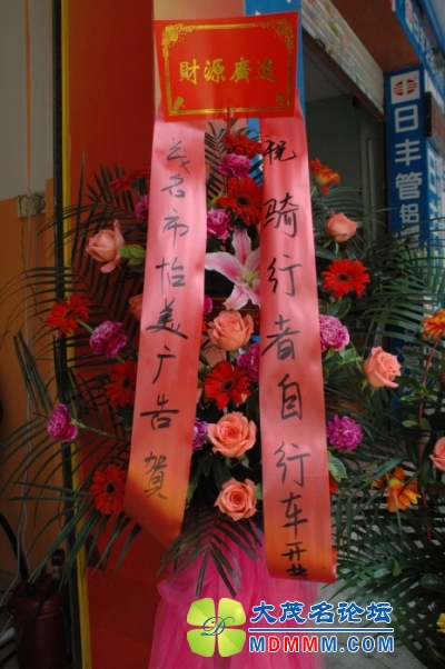 DSC_0482.jpg