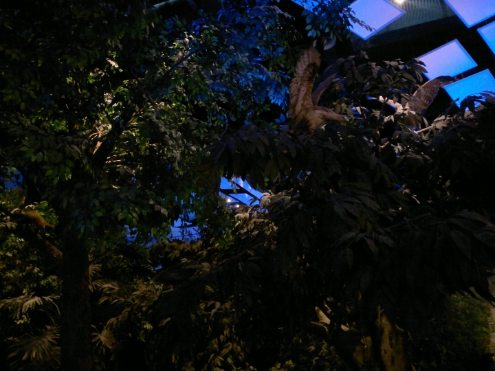 20130424108.jpg