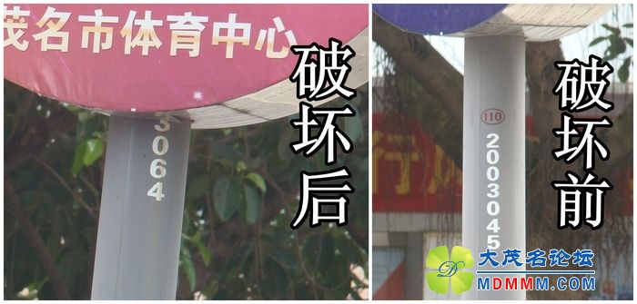 ͼ.jpg