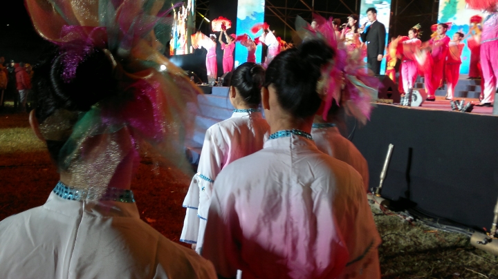 20130105208.jpg
