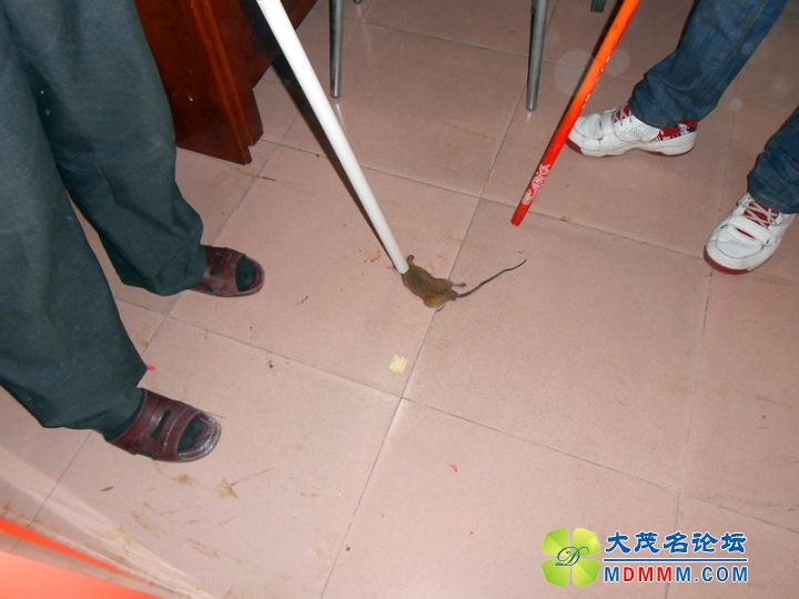 DSCN2552.JPG