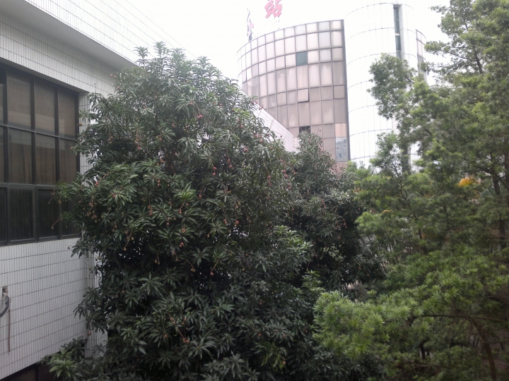 20130503372.jpg