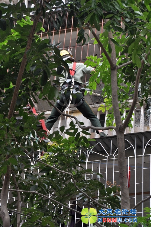 DSC_0335_.jpg