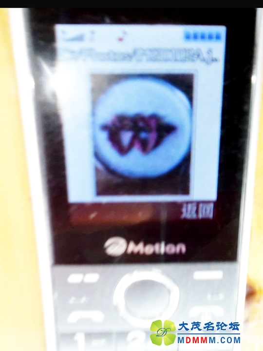 WP_000349.jpg