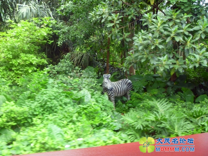 P1020581_副本.jpg