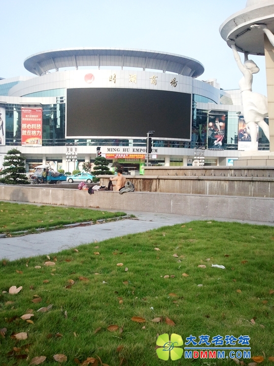 WP_000645.jpg