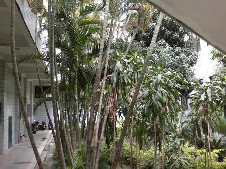 20130508418.jpg