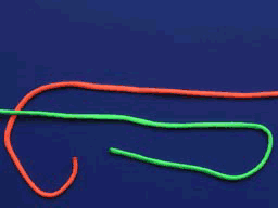 6.gif