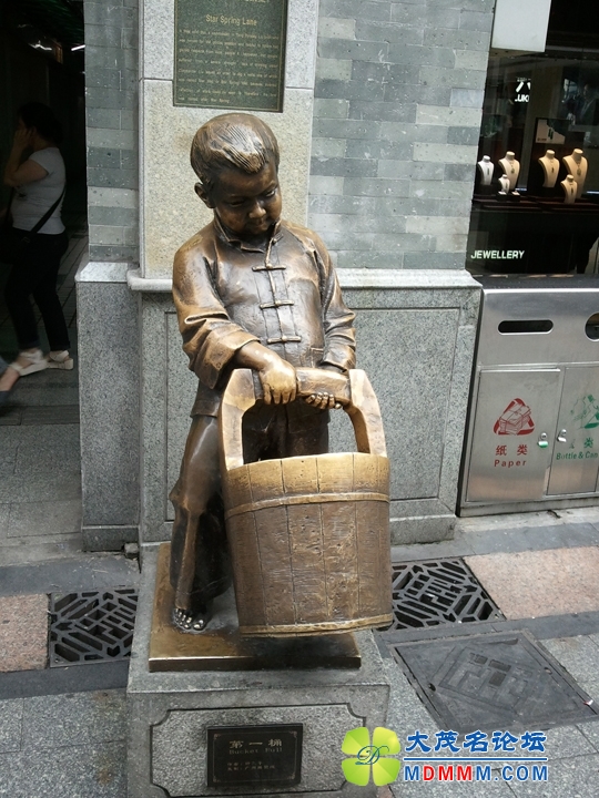 WP_000418.jpg