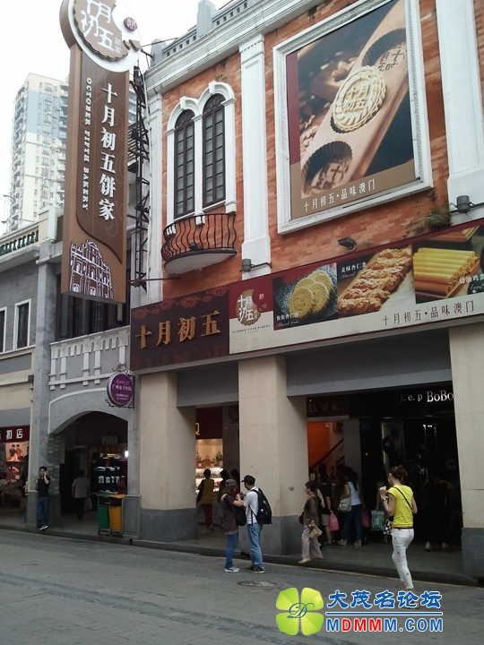WP_000500.jpg