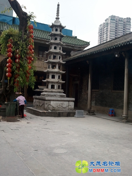WP_000530.jpg