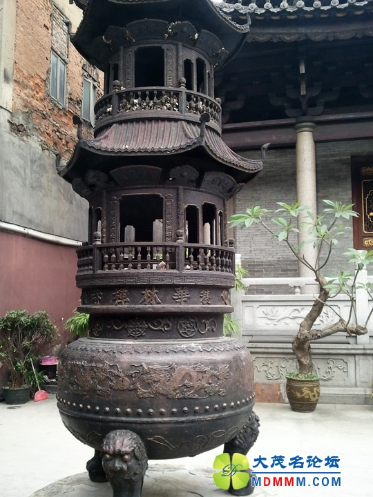 WP_000550.jpg