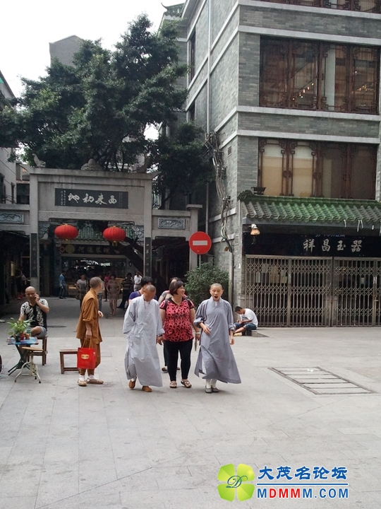 WP_000562.jpg